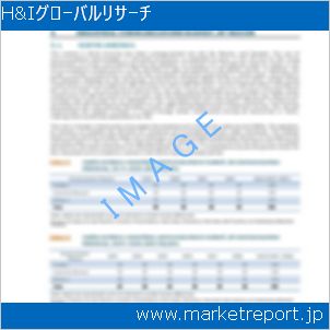 市場と産業調査レポートのイメージ